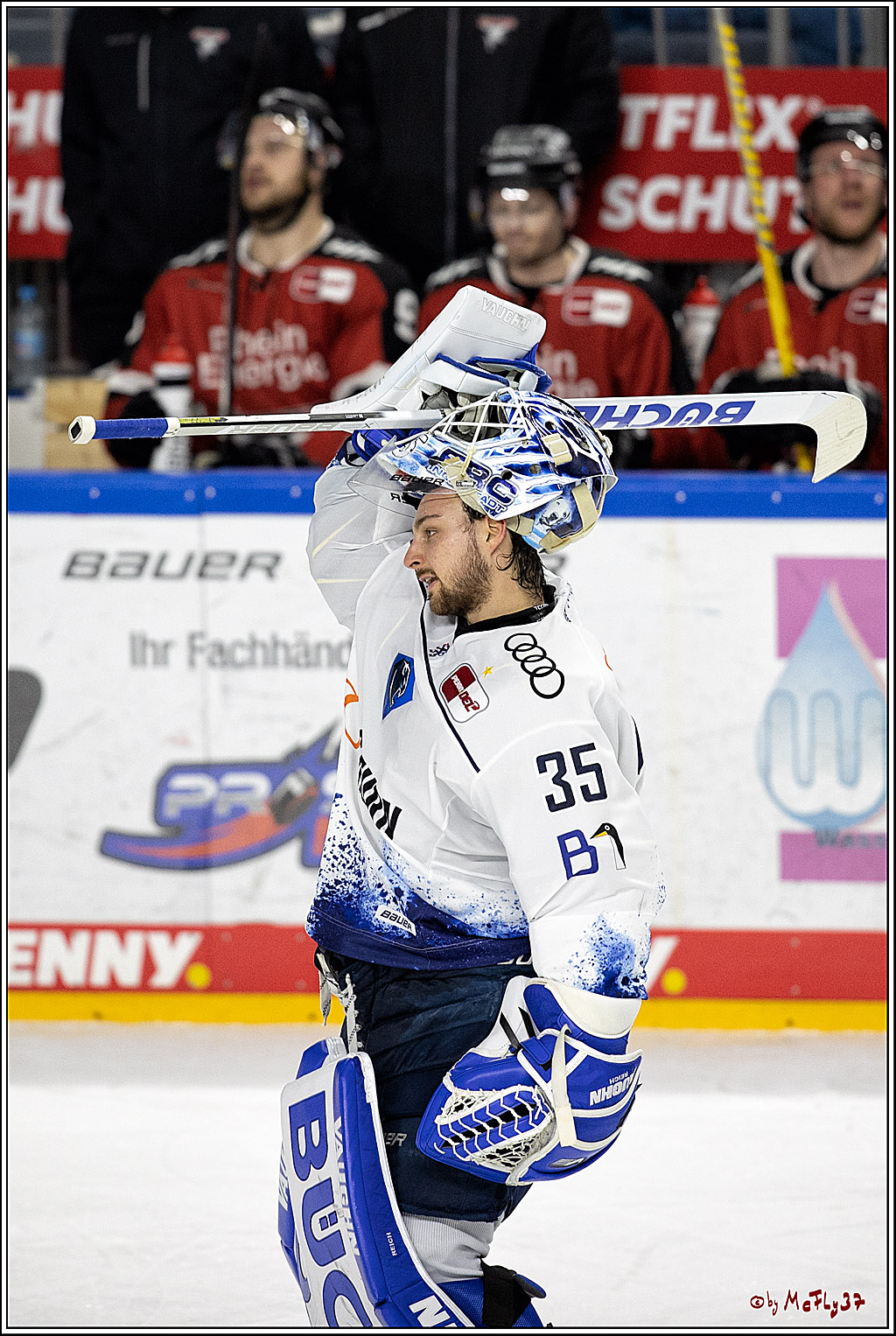 PENNY DEL;  Koelner Haie - ERC Ingolstadt; Koeln, 19.12.2021